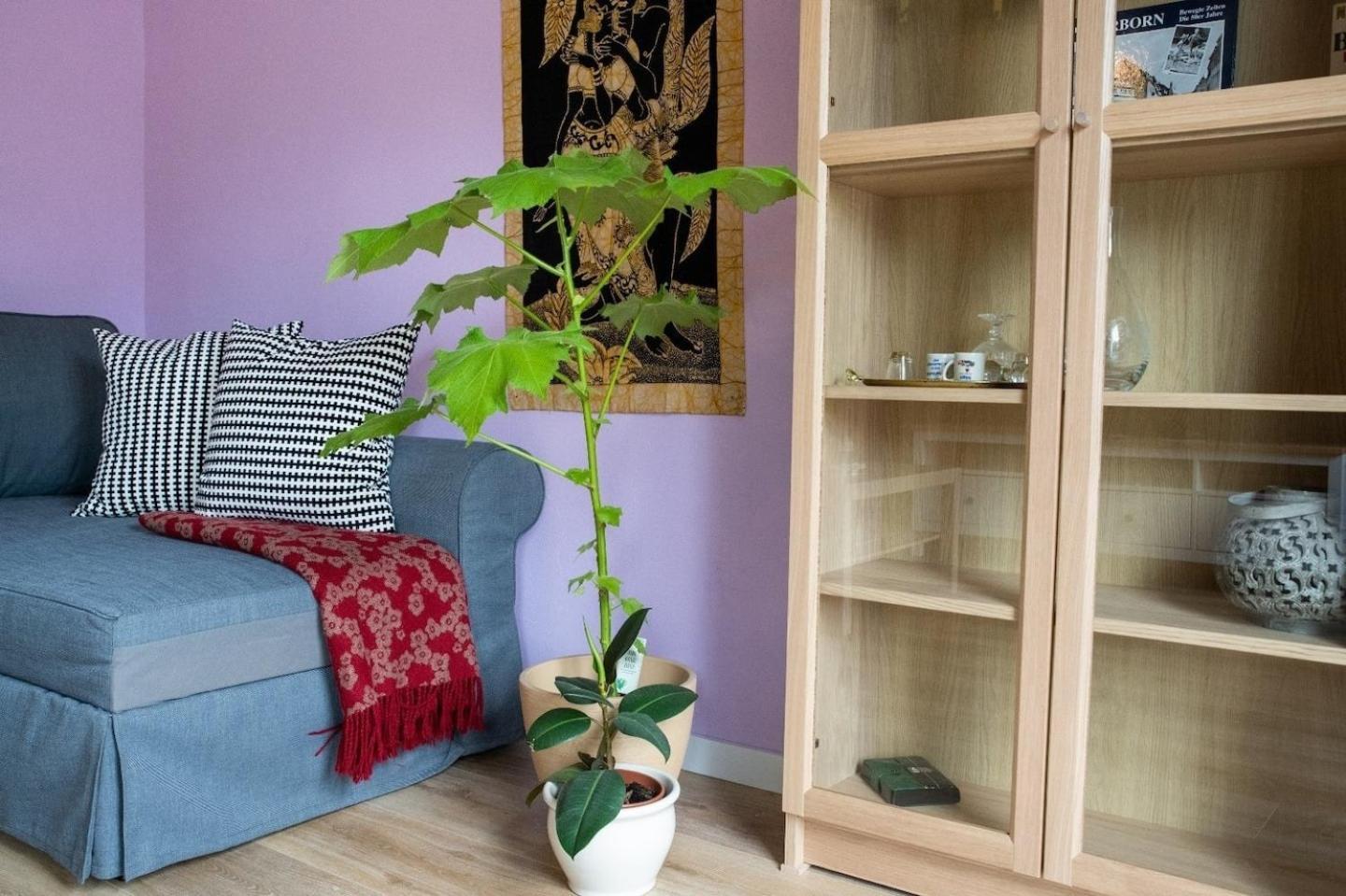 Farbenfrohe Ferienwohnung Ντέτμολντ Εξωτερικό φωτογραφία
